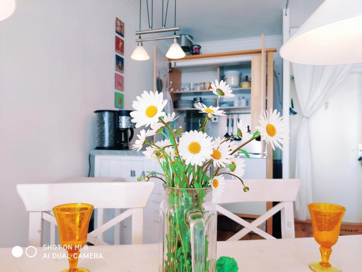 ZUM WOHLFÜHLEN-FERIENWOHNUNG FÜR MAX. 5 ERWACHSENE + 1 Kind, Schwimmbad vor der Tür/Tiere erlaubtKIND Sierksdorf Exterior foto